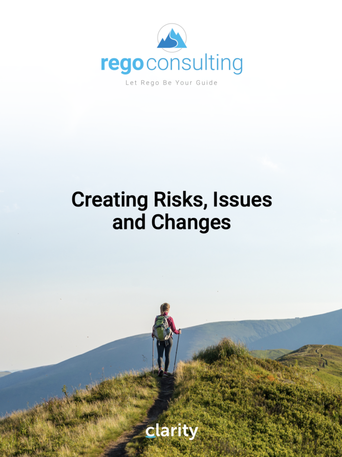 Creating Risks, Issues & Changes QRG - MUX