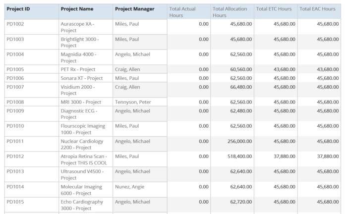 Project Time Summary (JS Report)