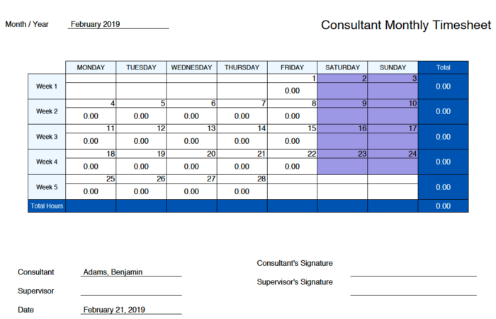 Monthly Actuals - Admin View - JS Report – Oracle